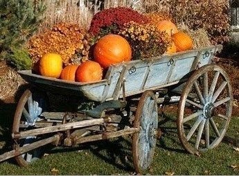 Ligue des Optimistes 🤗💙 tweet media