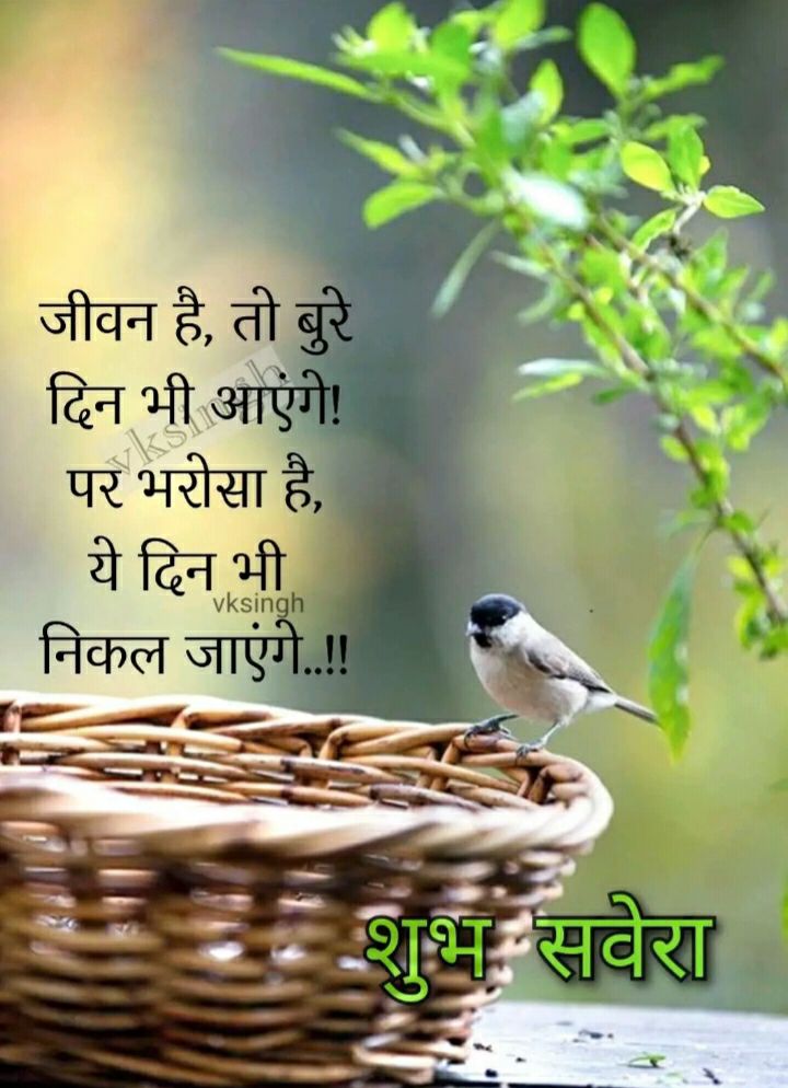c_lifter's tweet photo. https://t.co/Da9y3REed8