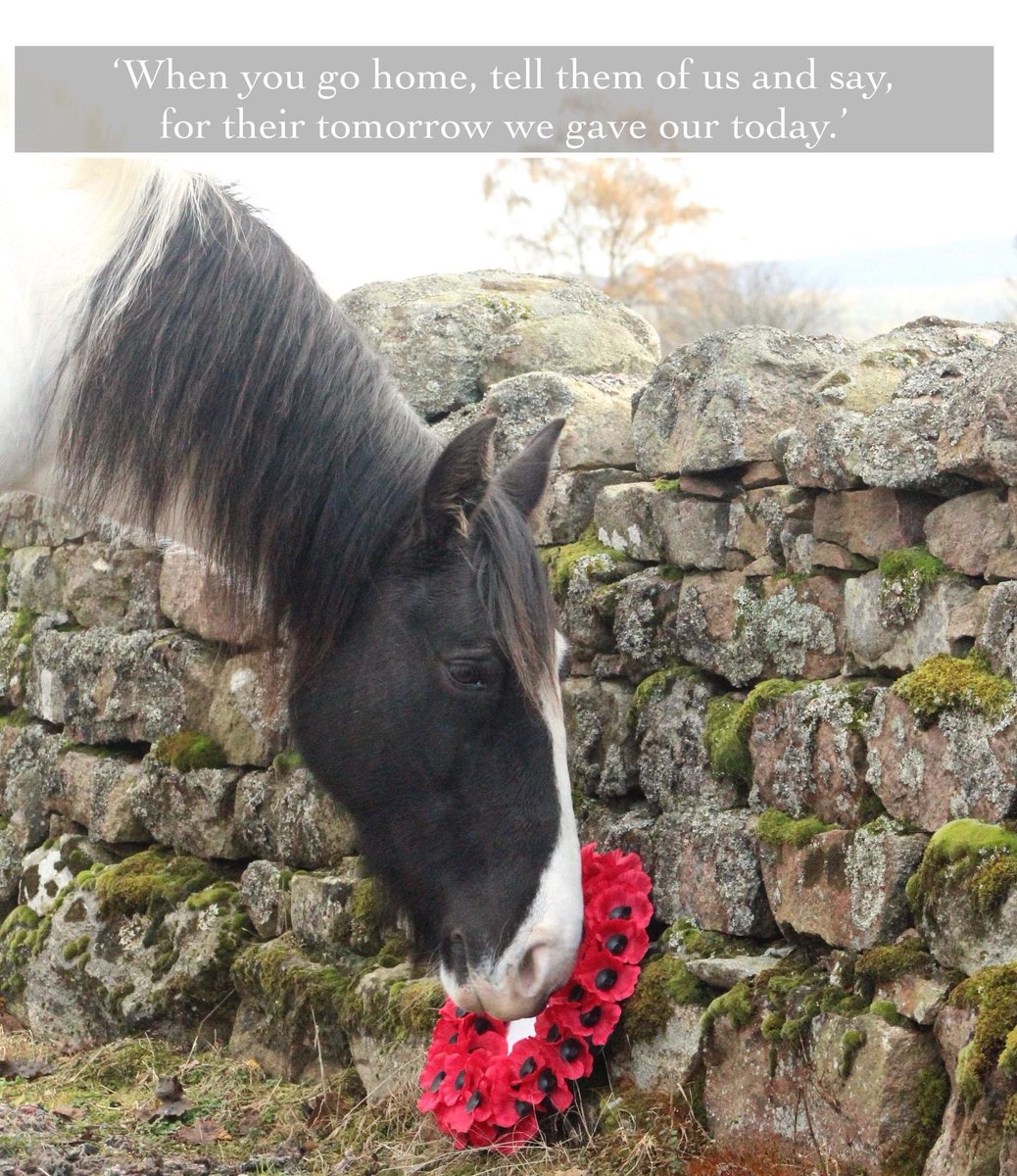 HorseBack UK tweet media