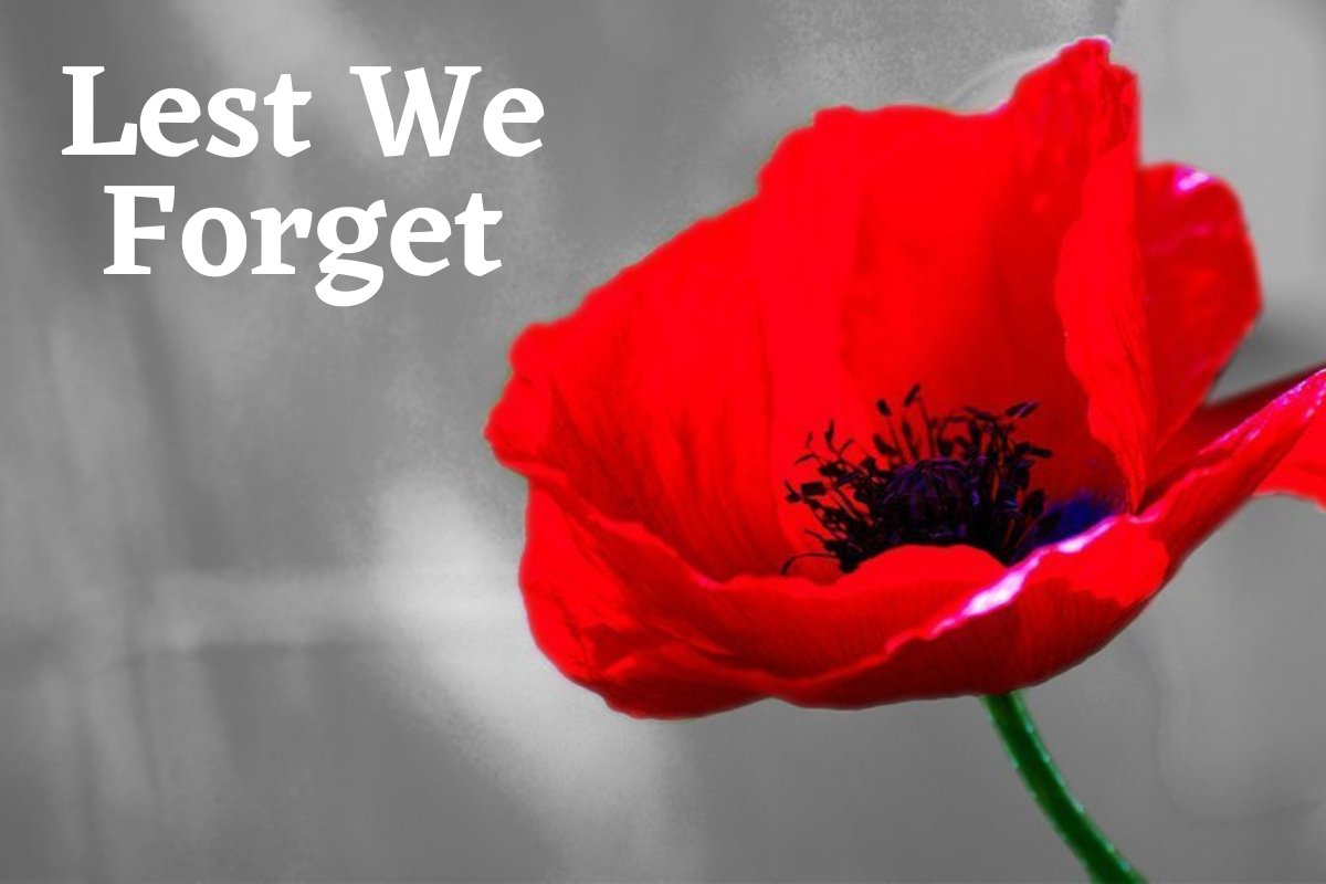 herefordtimes's tweet image. We will remember them #ArmisticeDay