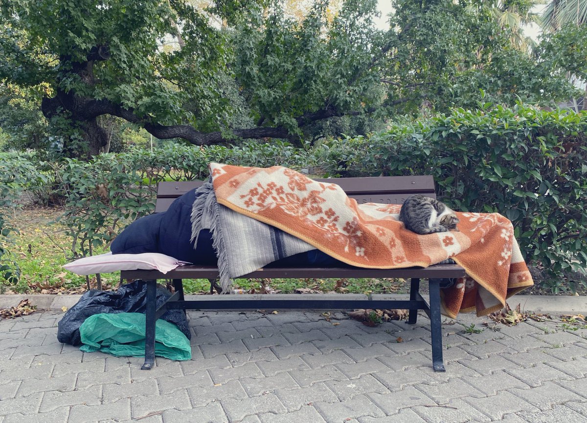 serdarcalik's tweet photo. Bu kareyi fotoğraflamamda emeği geçen herkesin Allah belasını versin! https://t.co/EBAjb6c5mW