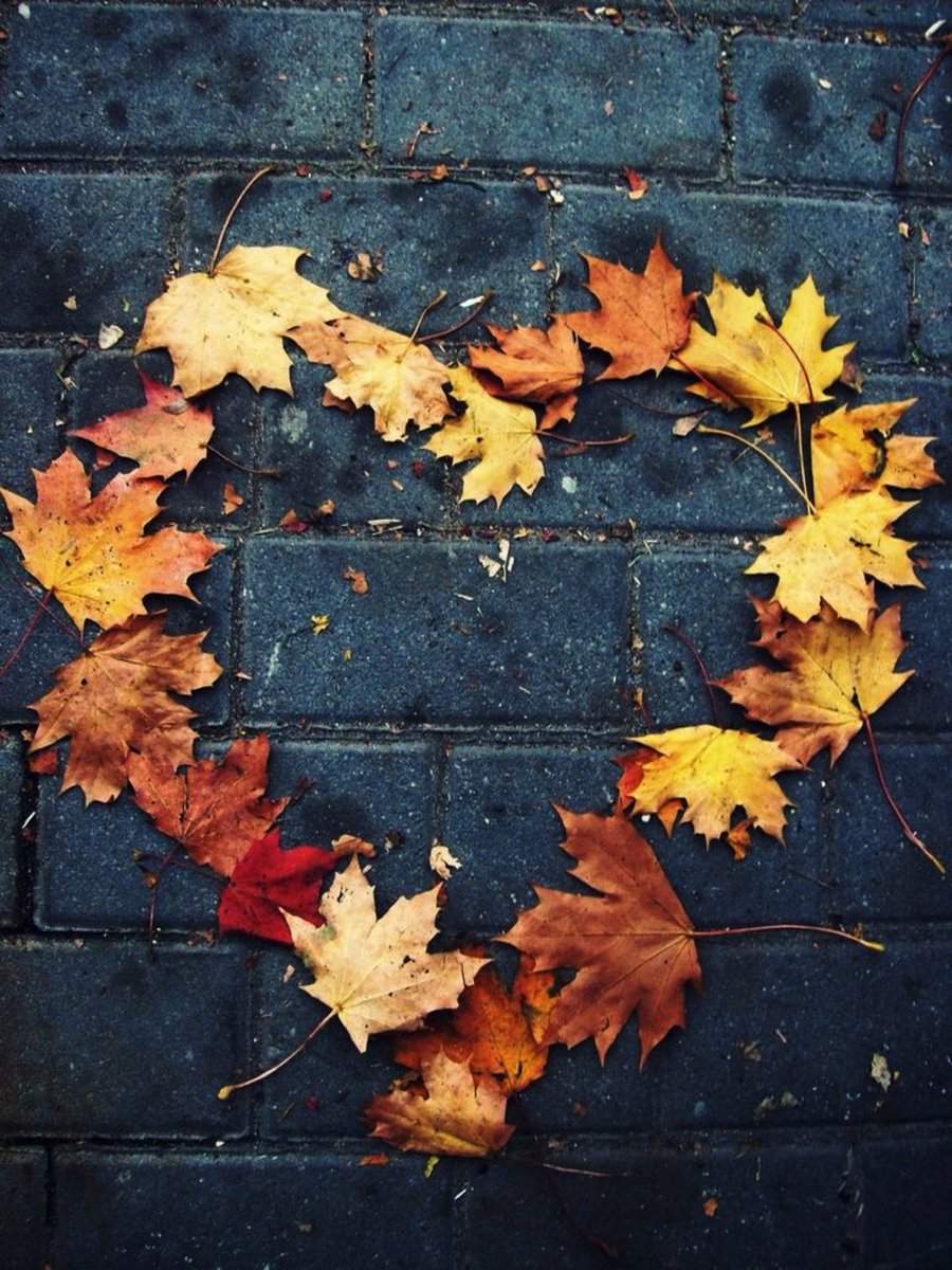 Dew_Point_Group's tweet image. Heart made of leaves to all our followers! 

Our team believe we share the same interest! Warm regards and let’s stay in touch ❤️🙌🏻

dew-point.company

#webdevelopmentteam #JavaScript #mobileapp #coders #development #business #ThursdayThoughts