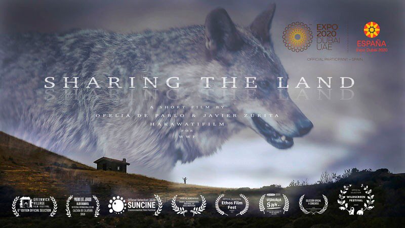OfeliadePablo's tweet photo. Amazing news! Our #SharingtheLand doc is at #ExpoDubai2020!! #sharingtheland chosen to represent Spain at Universal #Expo2020 Dubai. Our wolves are going to share their #coexistence message. #SharingtheLand by @hakawatifilm for @wwfspain  #LIFEproject @FBiodiversidad https://t.co/RwKLfIEkLb
