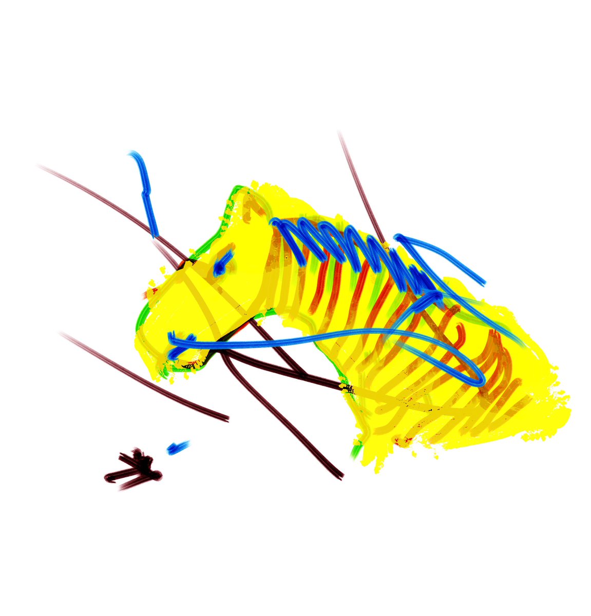 jrapa7's tweet photo. https://t.co/Q3yvhQw3CY