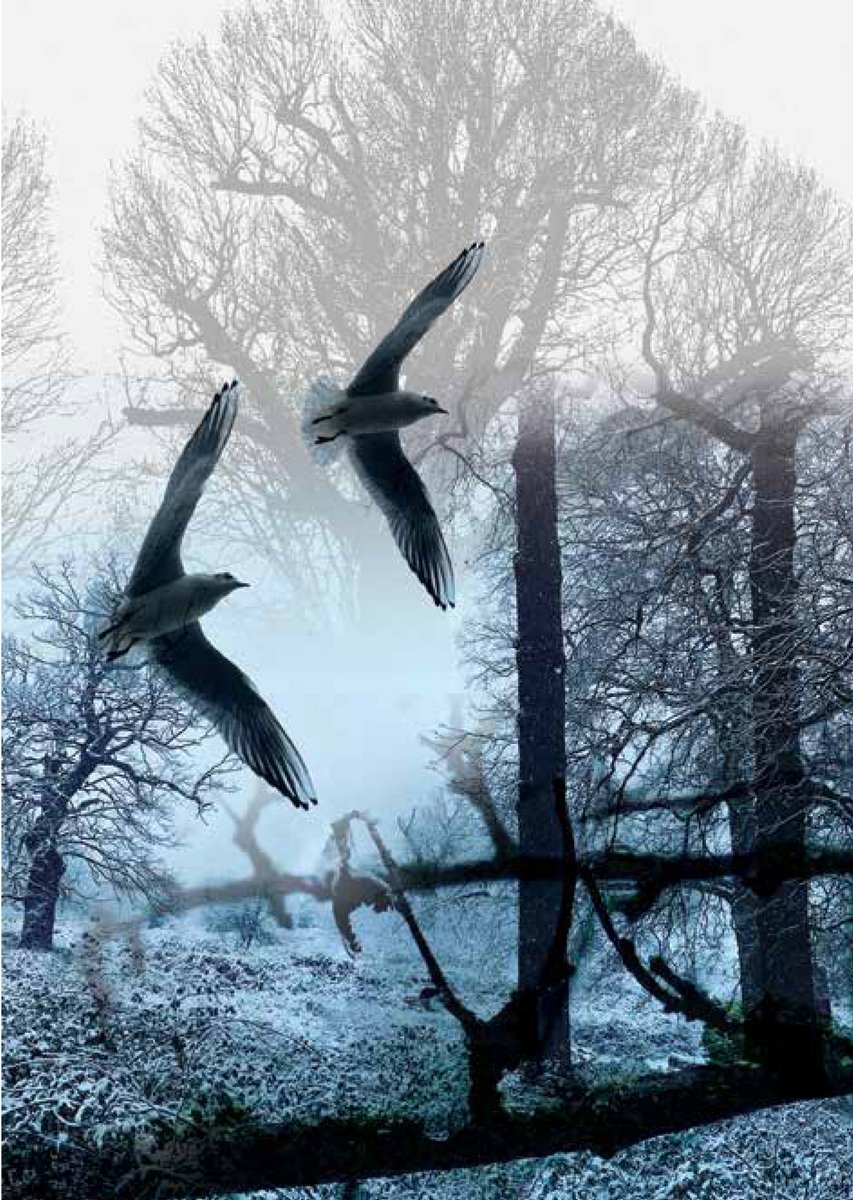 Make It Blue UK tweet media