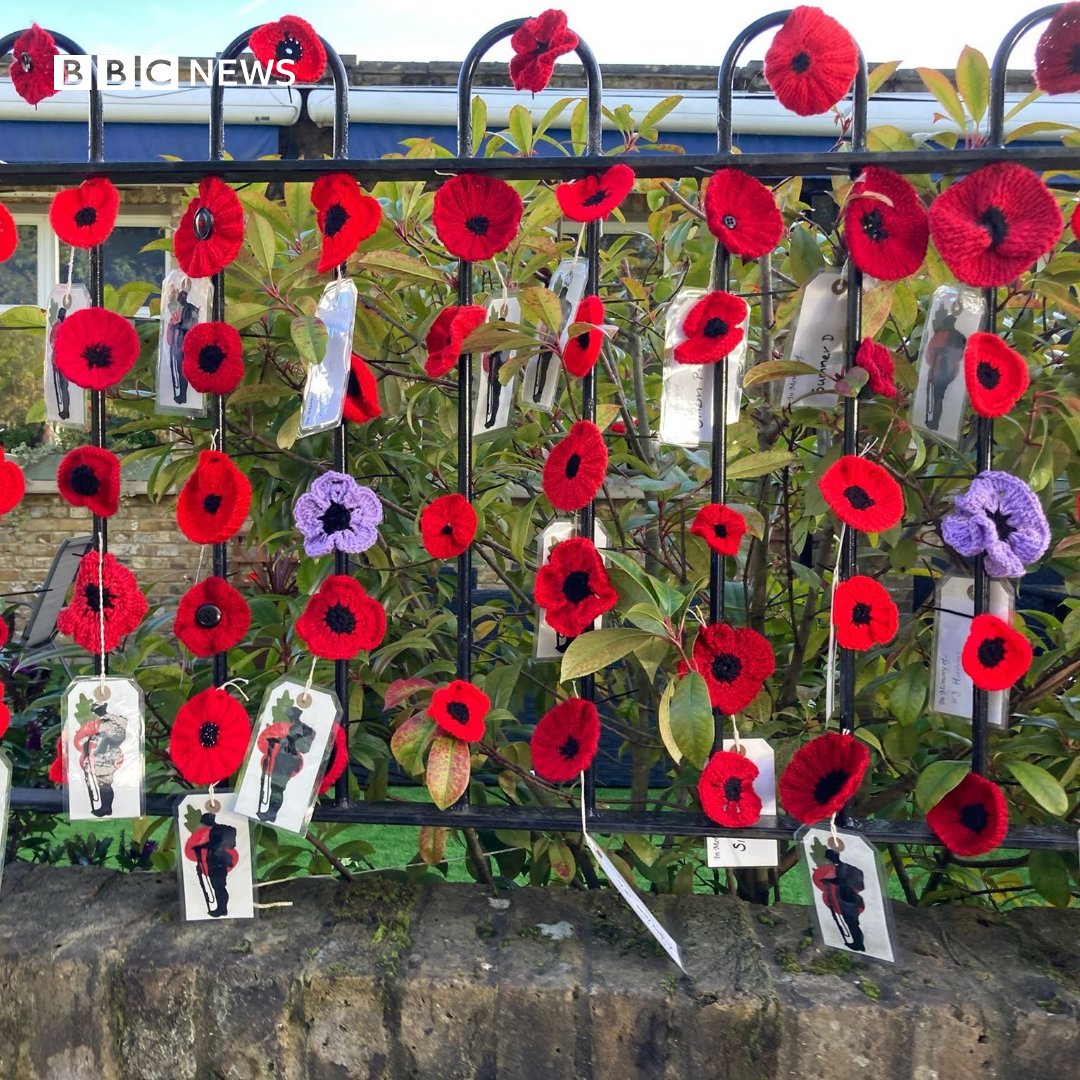 BBCLondonNews's tweet photo. The Surbiton Royal British Legion Youth Marching Band (@srblymb) have pulled together a display of over 5,600 crocheted poppies.

Women from the local community and beyond hand-made the poppies to commemorate #armisticeday  and 100 years of the Royal British Legion. https://t.co/5qT4HOZHtm