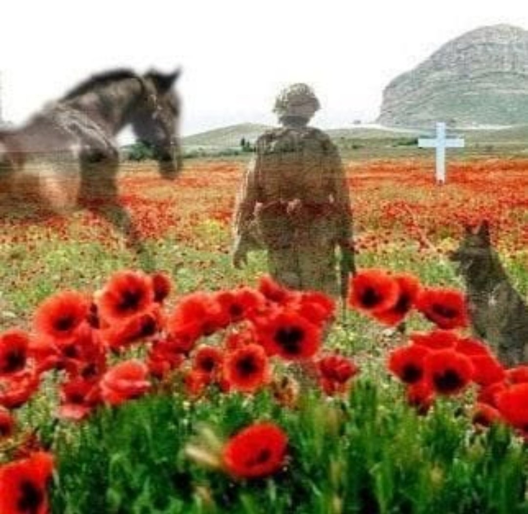 fur2feather's tweet photo. Remembering All Animas &amp; Soldiers of War, Today and Always ❤💜

Lest We Forget 👣🐎🐾 
11.11.2021

#RemembranceDay2021 #LestWeForget Remembrance Day  #armisticeday #animalsinwar https://t.co/7eutcLtfdI