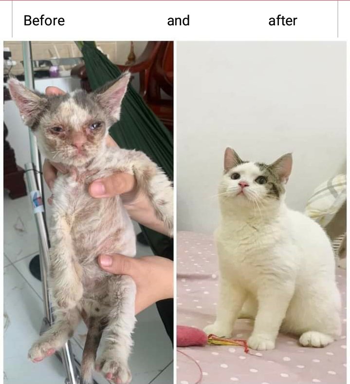 Dr_boyy's tweet photo. Made my day 
Wbu https://t.co/ceBjBttwYL