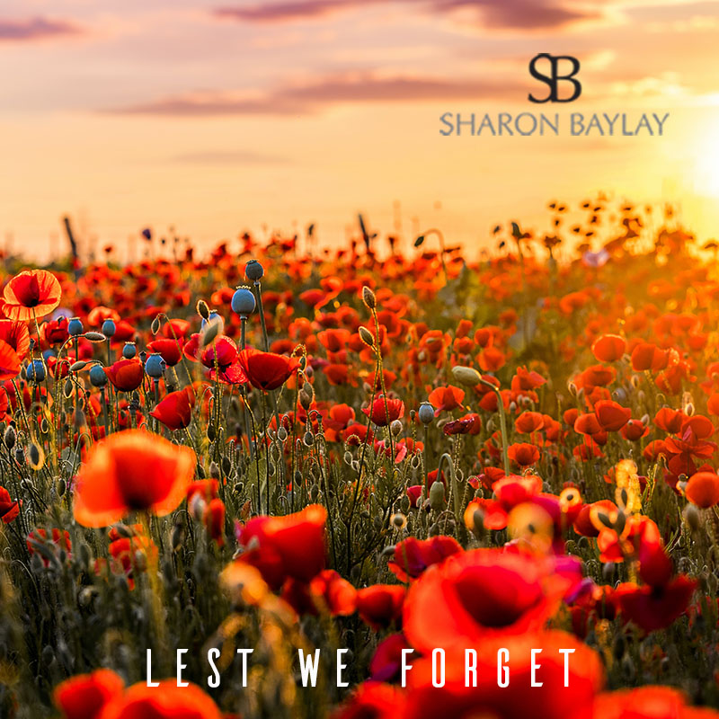 At the going down of the sun, and in the morning, we will remember them. 

#wewillrememberthem
#armisticeday
#lestweforget