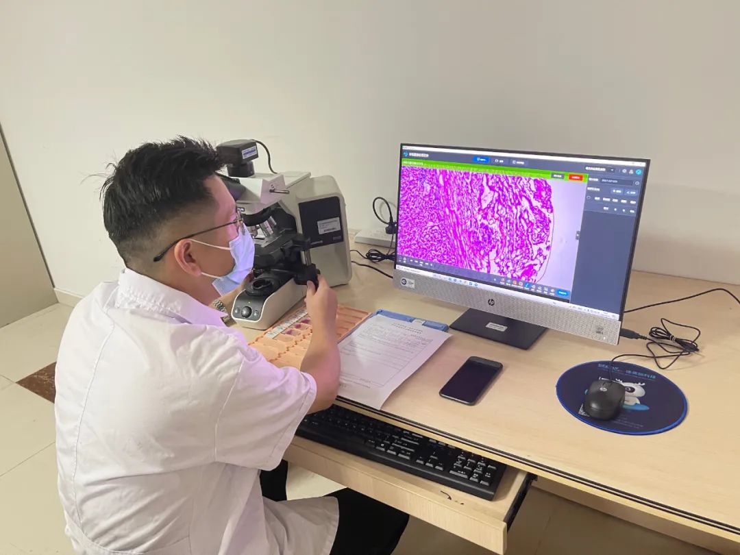 KFBIO1's tweet photo. 3. Third, it can be a telepathology platform, pathologists perform remote diagnose on the cloud.

#pathologycloud
#pathologyai
#telepathology https://t.co/Prw0I2eo49
