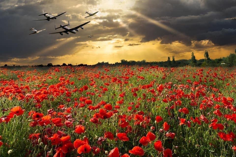 "They shall grow not old, as we that are left grow old:
Age shall not weary them, nor the years condemn.
At the going down of the sun and in the morning We will remember them" 🌹
#ArmisticeDay #wewillrememberthem #lestweforget2021
