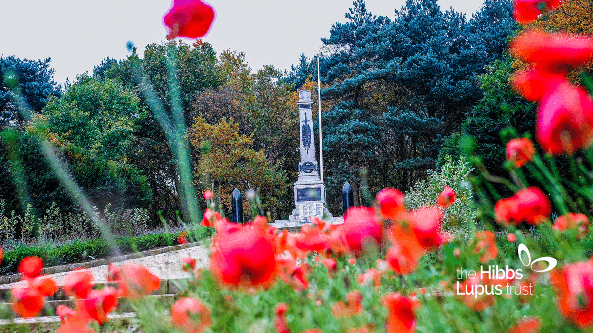 HibbsLupusTrust's tweet image. We are so grateful to all those who so bravely served our country. This Armistice Day, we honour them and we celebrate our current Armed Forces who continue to give so much. 
#WeWillRememberThem #LestWeForget #ArmisticeDay