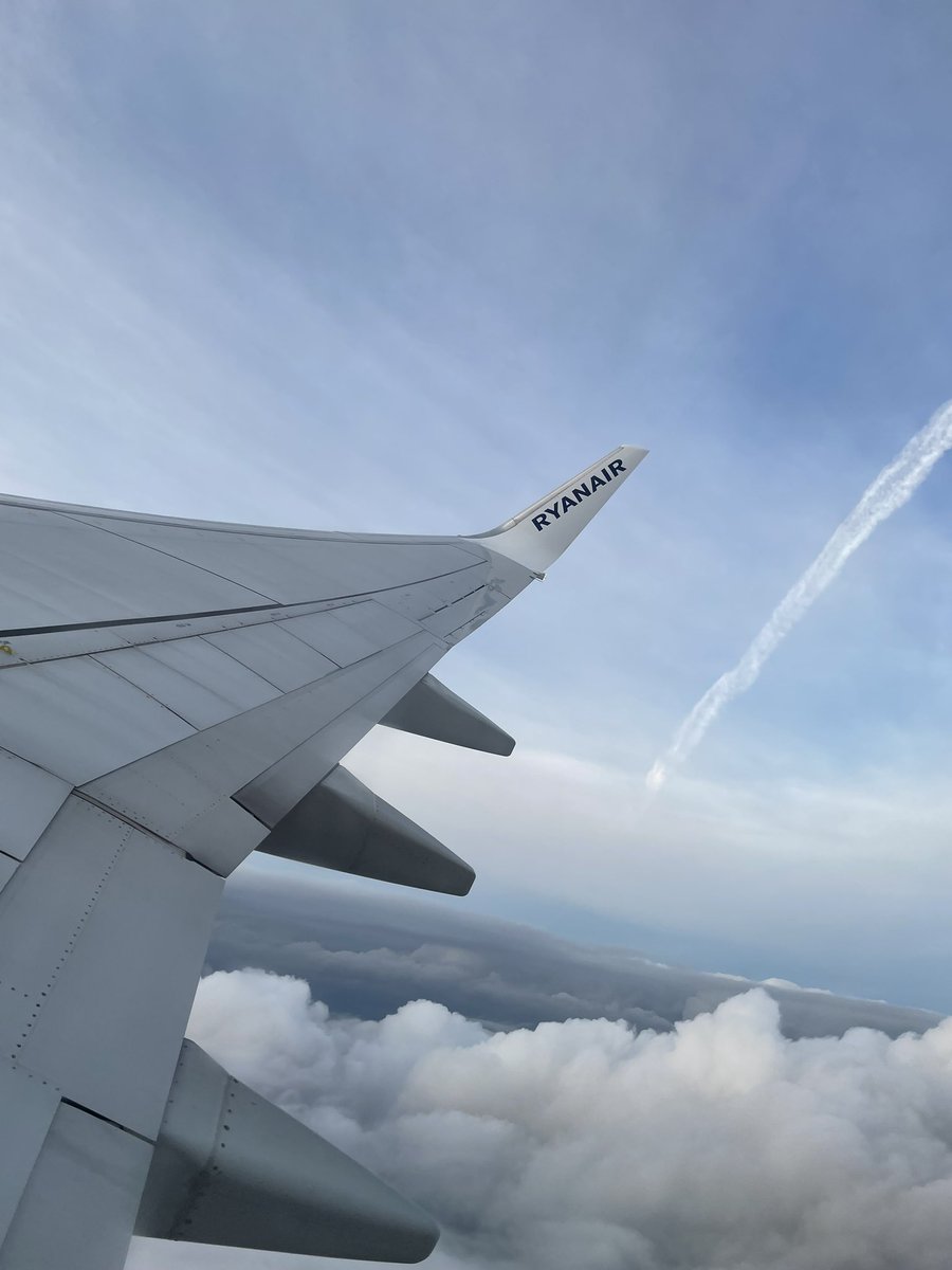 Iolo Williams tweet media