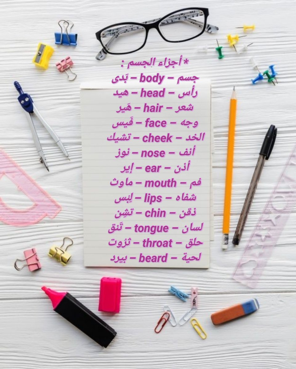 c9x012's tweet photo. * أجزاء الجسم : https://t.co/KgdCN4UAVv