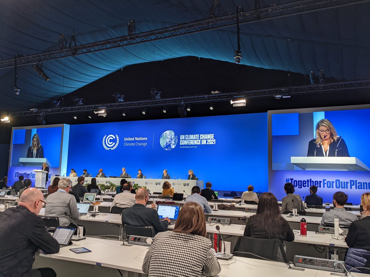 Astrid Hsu tweet media