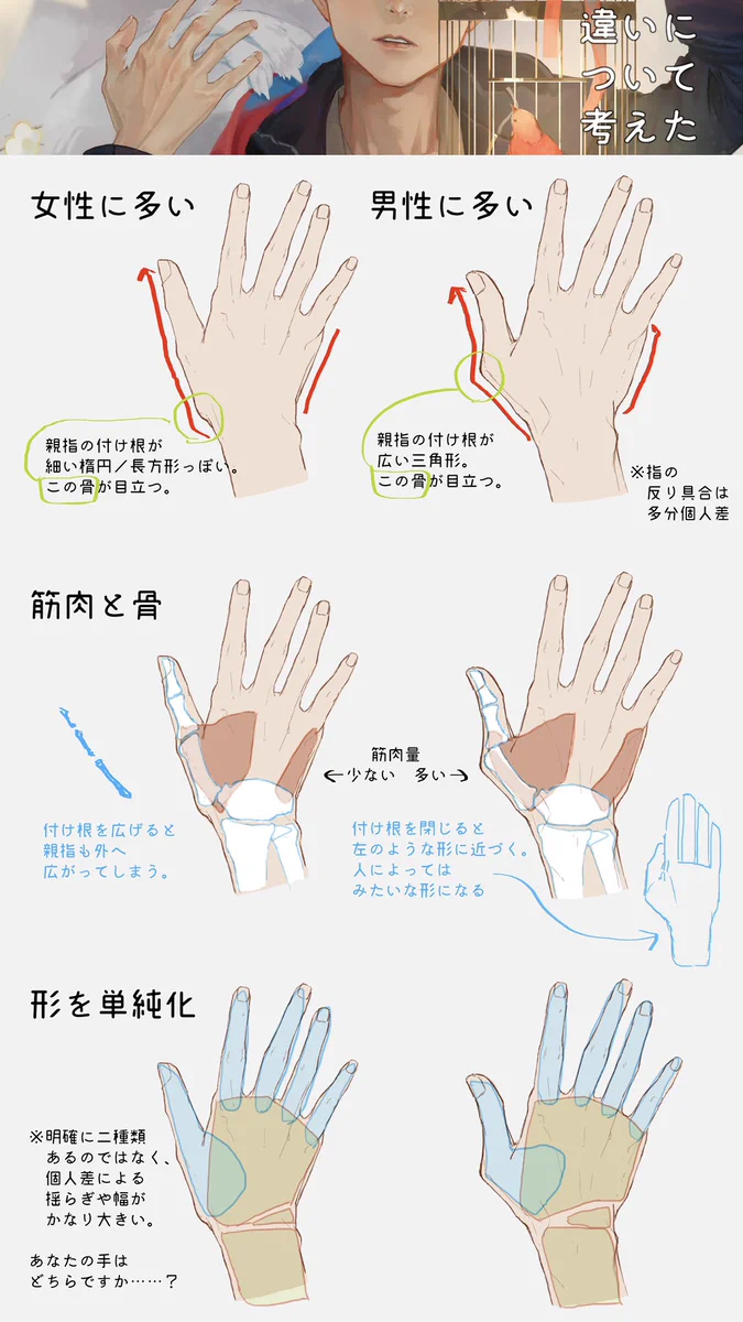 男女の手の描き分け考察！手を描く練習にどうぞ！