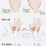 男女の手の描き分け考察!手を描く練習にどうぞ!