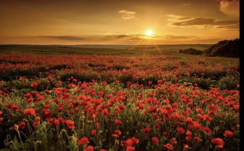 We will remember all those who have died in conflict. As the sun sets we look to tomorrow and the rising once again 🙏 🌅 <a href="/EppingStJohns/">ESJ</a>