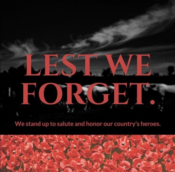 mangan05's tweet photo. #NeverForget #thankyou #LestWeForget #Heroes https://t.co/LyJzaR1d3l