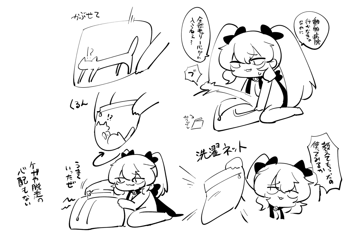 猫のワクチンを打ちに行きました 