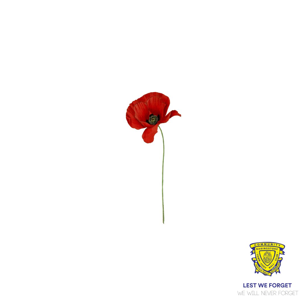 Basingstoke_FC's tweet photo. For Captain John H Dukes MC
For Sergeant Major William George Butt
For Staff Sergeant Robert Hitchcock
For all that we lost.

We remember them. 

#OurTownUnited https://t.co/Ngl5CLK54y