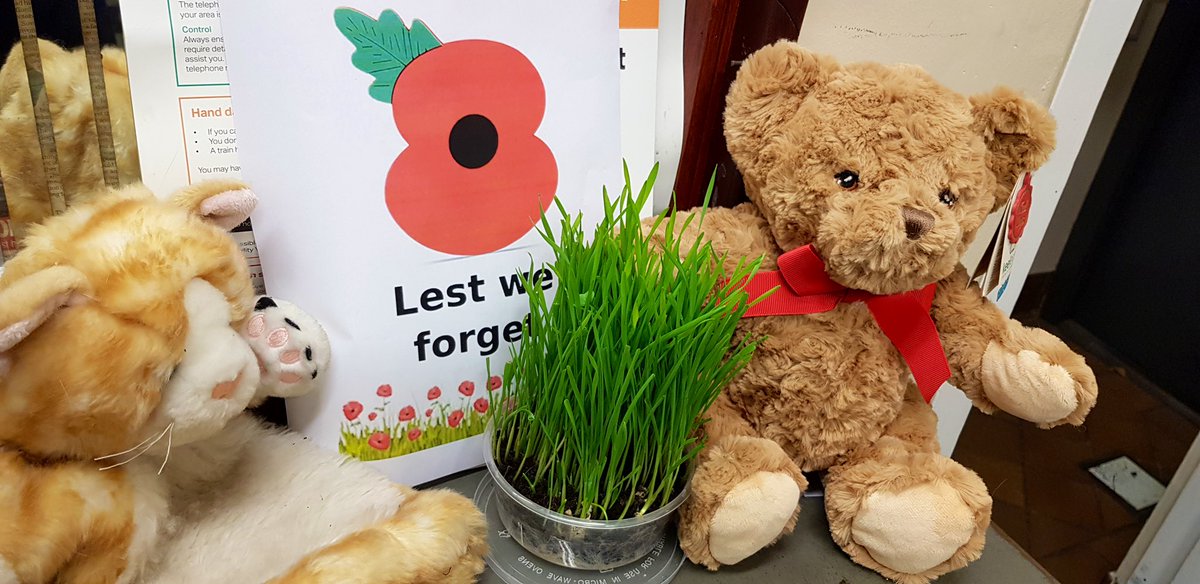 TheStourbridge's tweet photo. At 11am today we will pay our respects to our Armed Forces community, past and present by observing a two minute silence

They shall grow not old, as we that are left grow old: Age shall not weary them, nor the years condemn. 
We will remember them.

#RemembranceDay2021 https://t.co/DWJNwHucsl