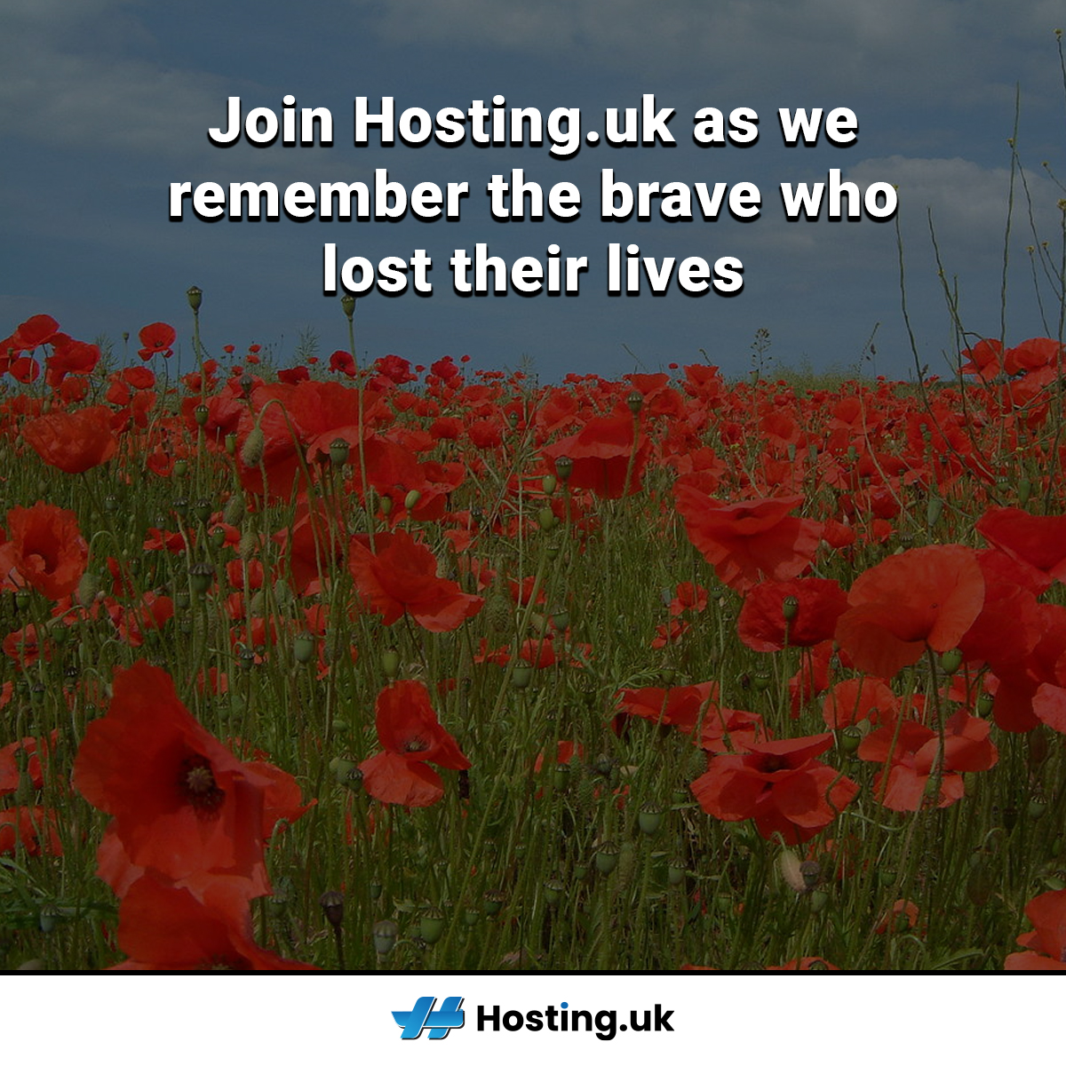 HostingUK_'s tweet photo. Join https://t.co/wKc0UmVw4Q as we remember the brave who lost their lives to protect such a great Nation.
Without their sacrifices the freedom’s we enjoy on a daily basis would not be possible.

#RemembranceDay #ArmisticeDay #UKHosting https://t.co/1W3M5D3t3D