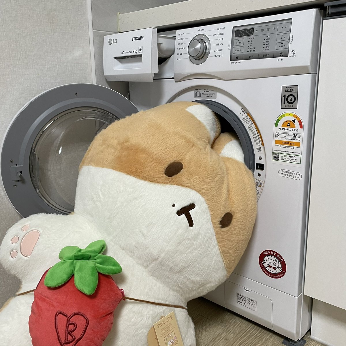 걍...... 내가 미안하다..............