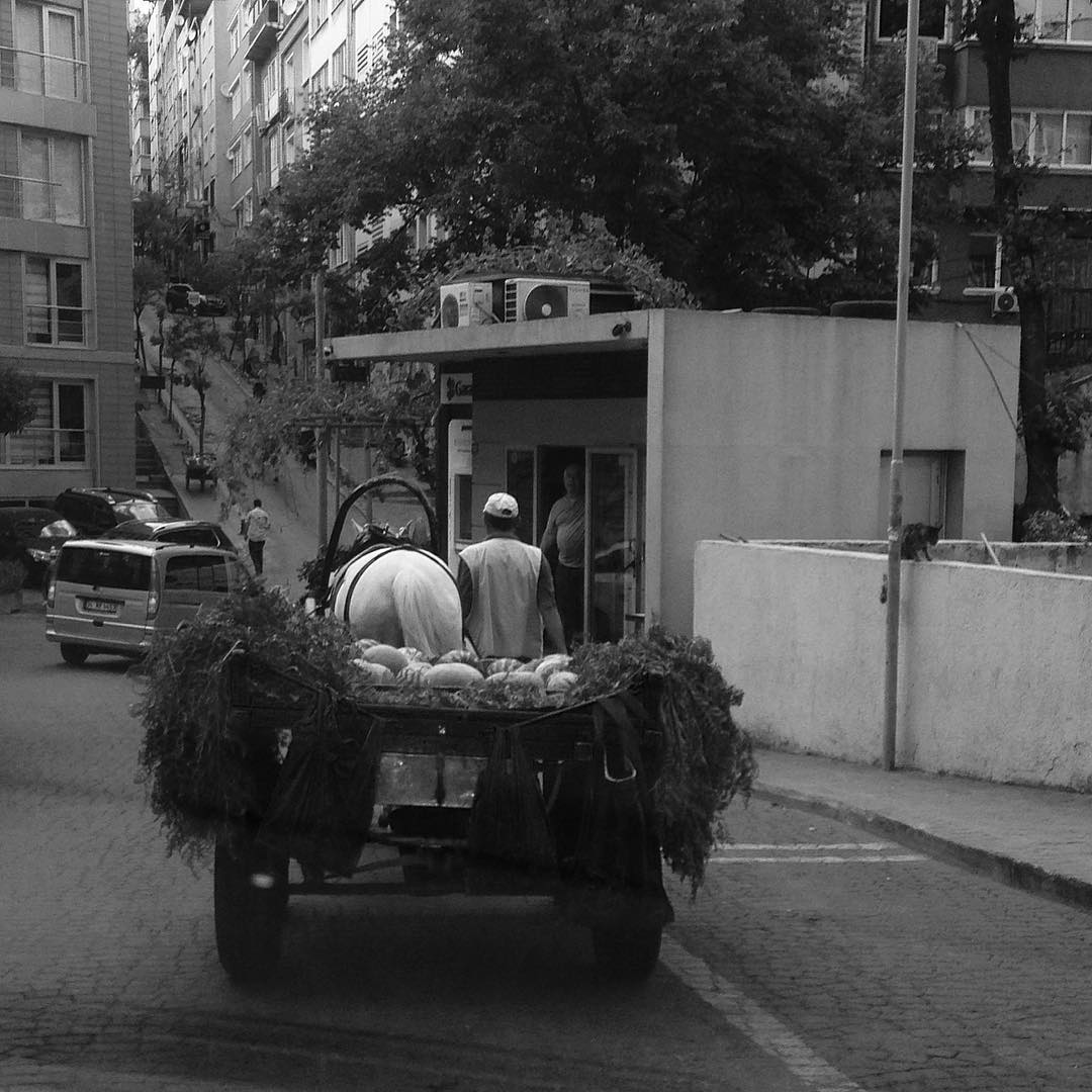 By_Atam's tweet photo. #nftcollector #nftphotography #NFTs #NFTcollection #nftart #openseanfts #opensea #photography #photography #photoart #blackandwhitephotography #streetphotography #streetphoto #StreetArt #İstanbul #art #aragüler https://t.co/E3uoKxwH6L