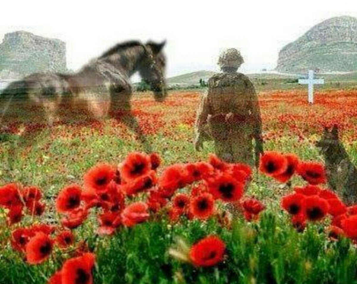 We salute our troops, past and present. We shall not forget.

#LestWeForget #RememberanceDay2020 #11november #ArmisticeDay #RemebranceDay #VeteransDay2020 #VeteransDay