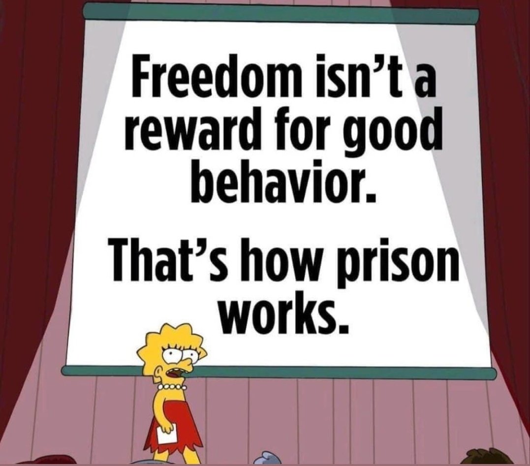 Yanky 🇺🇲 tweet media