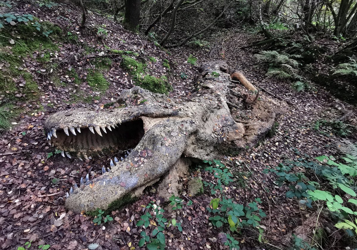 Joshua Rojas tweet media