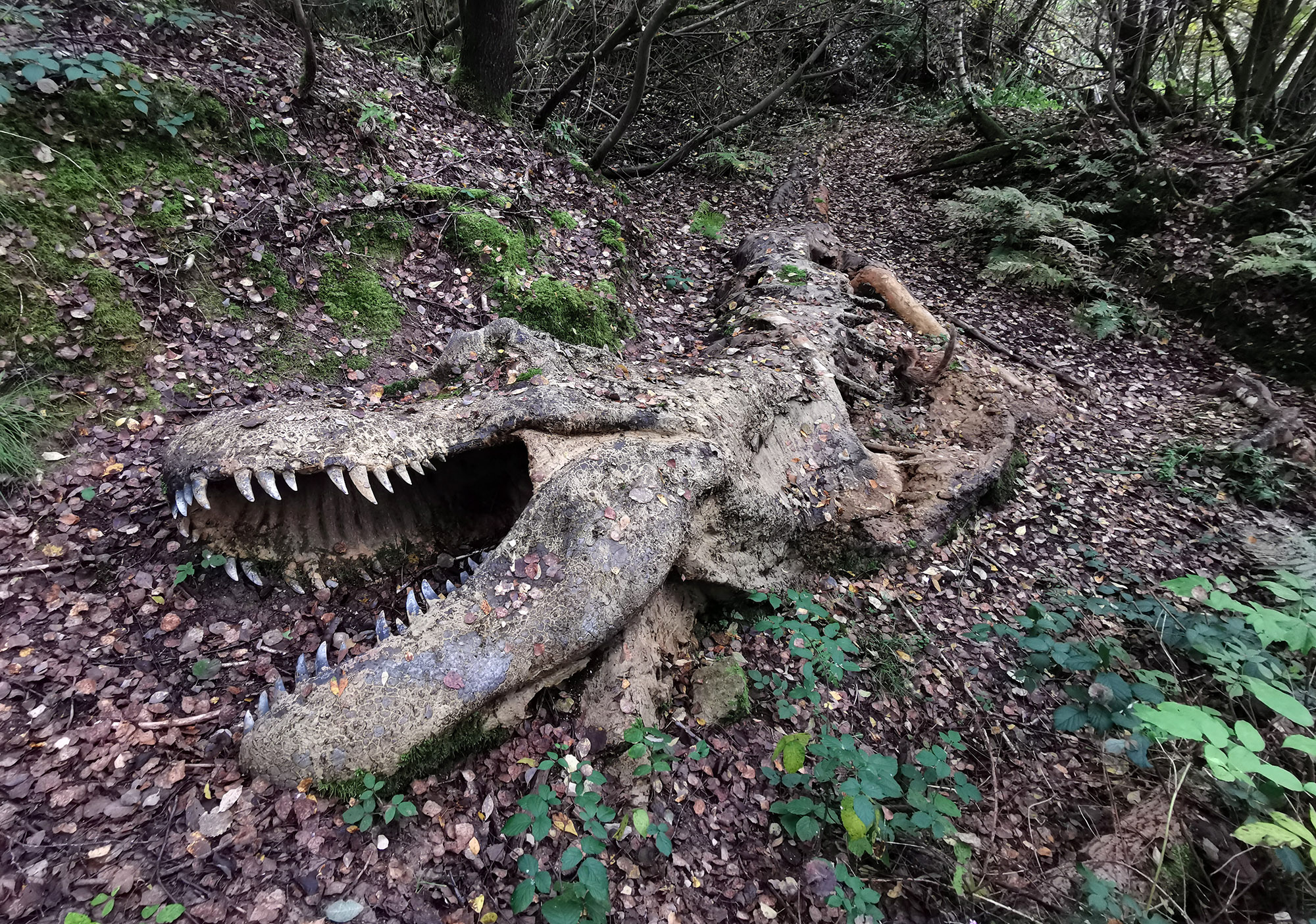 место раскопок. Warner bros discovery. T-rex fossil. окаменелые кости динозавров. смитсоновский институт кости великанов.