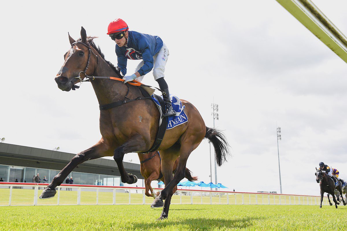 benkwok44444's tweet photo. PROJECT GUTENBERG (Complacent x Granita) broke his maiden today in the 2500m Iron Jack Australian Lagers Maiden Plate at Pakenham. 💥 Congratulations and thank you to all involved! https://t.co/lWnYTjnpnO