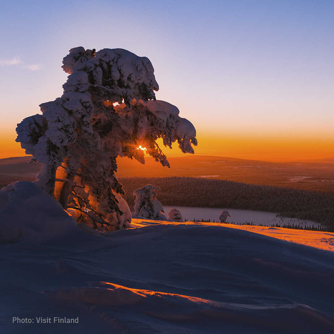 thisisFINLAND's tweet photo. Here's a new #Finnish word for you to learn: kaamos. It stands for polar night, which is a time of darkness north of the Arctic Circle when the sun does not rise above the horizon. Here in #Finland it's part of the magic of living with four distinct seasons. 🧡 https://t.co/AYD52b14jy