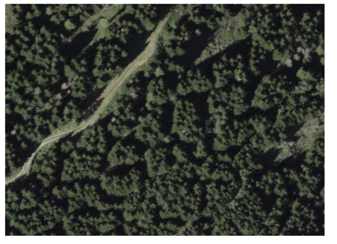 ale_bottero's tweet photo. Today’s destination: Afforestations in Tschamutt - Their needs and #management under changing climate and #disturbance regimes. #protectionforest
With @ForEco_ETH and the Fachstelle für Gebirgswaldpflege
The weather looks promising too 🌤 https://t.co/l5XMZQn05T