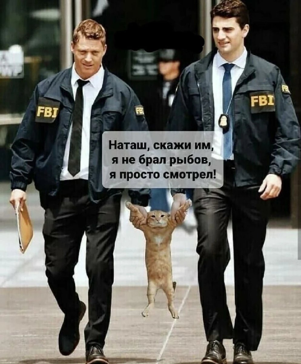 pikabu_vk's tweet photo. Каджит ничего не крал!

Комментарии: https://t.co/RDa2vZ4Opk https://t.co/L71nYlhvyh