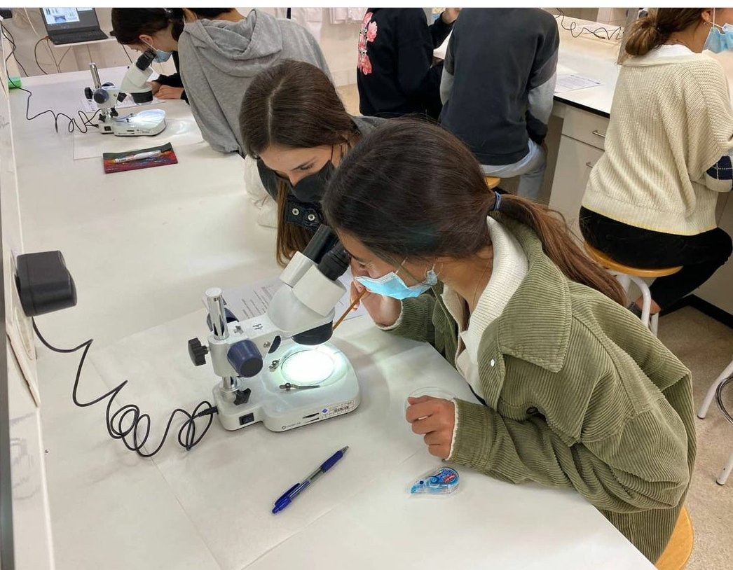 PortUIB's tweet photo. L'alumnat de secundària s'endinsa en el món de la tecnología i les ciències amb les pràctiques #Demotec i #Demolab 💻🧪
👉https://t.co/PH5QVKHXA7
#SeràsUIB https://t.co/esZZaH0TJJ