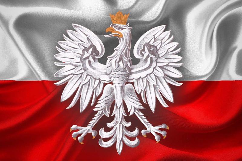 jotwu1's tweet photo. Coroczne #Marsze #Niepodległości 🇵🇱 https://t.co/T7U505vzQs