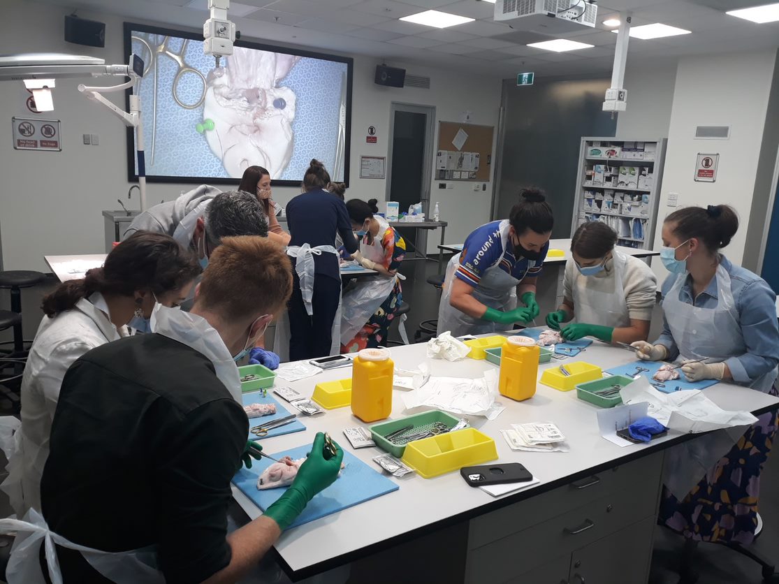 ranzcog's tweet image. Last  weekend, we held the Foundations of Surgery Workshop for our Year 1 Victorian trainees at @RACSurgeons 
Facilitators were Dr Charlotte Reddington and Dr Lauren Hicks, with 23 other faculty members helping out to teach across the 2 days!