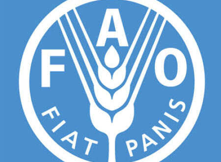 AgrarianOpp's tweet photo. 📢 Job Opportunity!

FAO seeks to recruit a Young Professional Officer (Digital Agriculture) to support the Digital Innovation Strategy in ensuring improved use of sustainable digital solutions in the Africa region.

Details here>https://t.co/IF6DjVoahh

Deadline>12 November 2021 https://t.co/QNs6ipaKwI