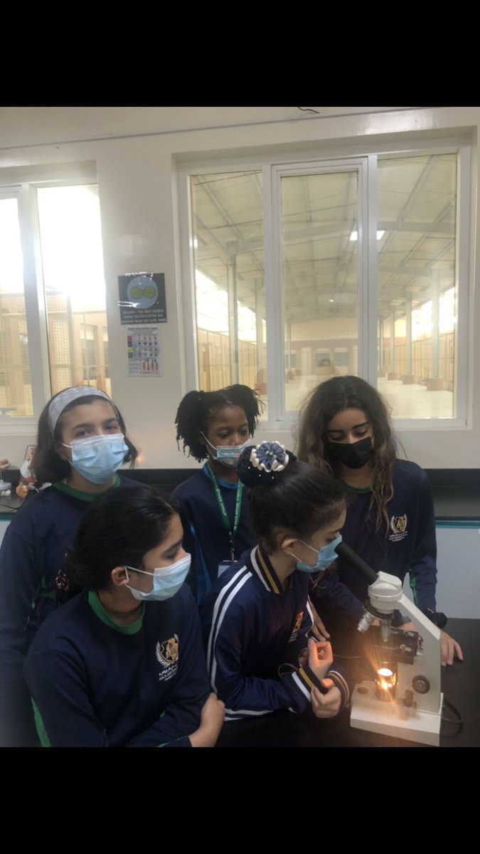 pacebritish's tweet photo. Year 7GB girls in the lab observing plant cells using the microscope!
#paceeducation #pacebritishsharjah #spea #bsme #britishschools #inthistogetherdubai #internationaleducation #sharjah https://t.co/aVulDCjuic