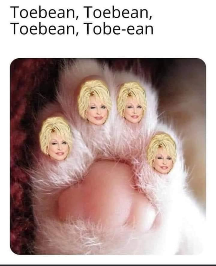 BDaveWalters's tweet image. This is literally the content I subscribed for