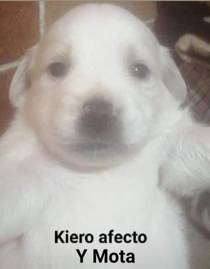 Nasty Poet (@nxstypxet) on Twitter photo 