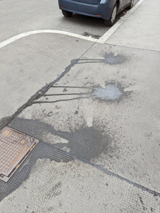 Tuesday morning there was one puddle, yesterday morning there were two and just now... Three! Three obvious<a href="/tag/cummarking"class="tags"><span>#cummarking</span></a>