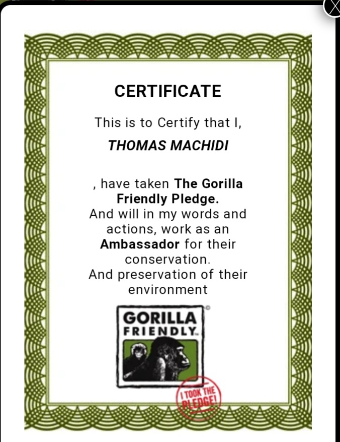 As a human species of gorillas  I took a pledge to dafe my people and their habitat.