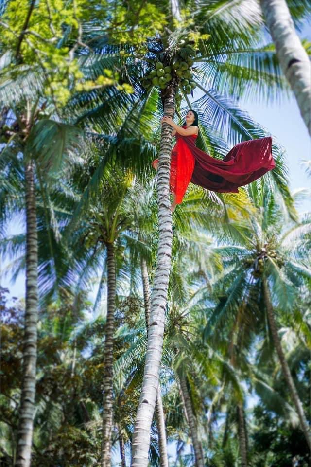 Smartalecc5's tweet photo. Are your scholars climbing coconut trees to get better signals to complete their daily quest? #TeamVicTree players may or may not be 👀  @CindyDescartin2 https://t.co/QHk9ValJeG