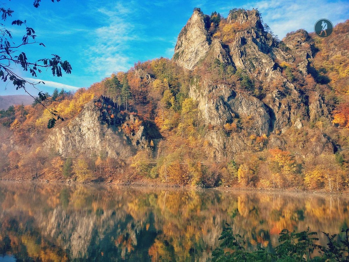PeMeleaguri's tweet photo. PeMeleaguri toamna
.
#pemeleaguri #toamna #landscape #landscapephotography #drumetii #munte #trekking #hiking #traseumontan #travelphotography #romania #cozia #ramnicuvalcea #peisaje #ceata https://t.co/Y0z5O1J0YA