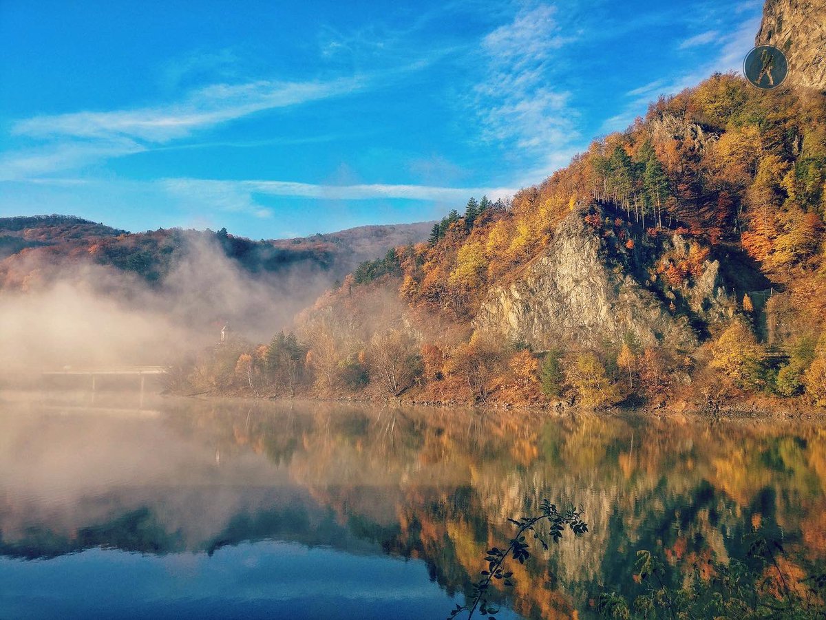 PeMeleaguri's tweet photo. PeMeleaguri toamna
.
#pemeleaguri #toamna #landscape #landscapephotography #drumetii #munte #trekking #hiking #traseumontan #travelphotography #romania #cozia #ramnicuvalcea #peisaje #ceata https://t.co/Y0z5O1J0YA