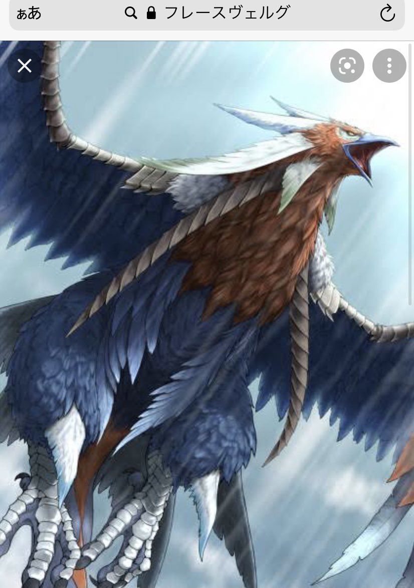 Rey Shirayukirey Twitter